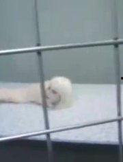 娱乐爆料搞笑版,明星们的爆笑瞬间大揭秘! 第1张 娱乐爆料搞笑版,明星们的爆笑瞬间大揭秘! 第1张